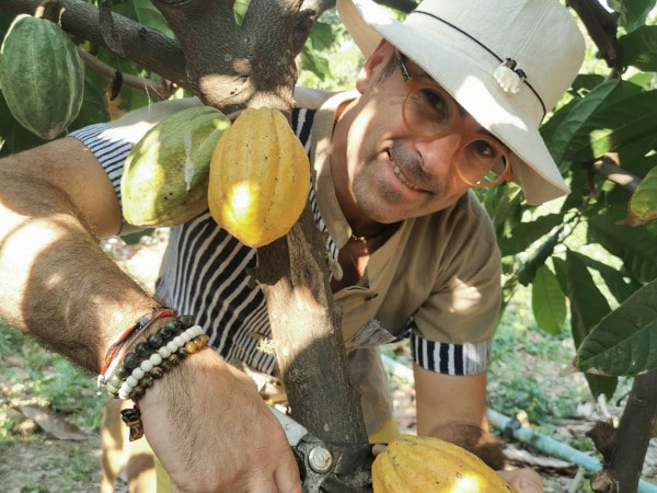 maitre chocolatier alliance cacao