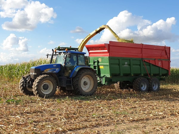 Éleveur bovins race Blonde d'Aquitaine et d'oies gaec villeneuve