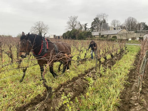 arboriculteur les vergers des rivaux