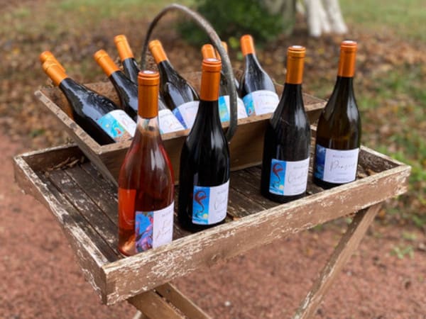 arboriculteur les vergers des rivaux