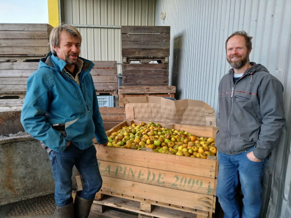 brasserie artisanale tete de mule