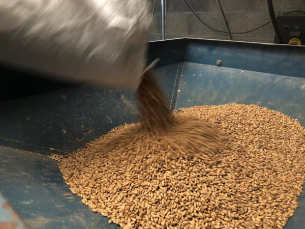 brasserie artisanale tete de mule