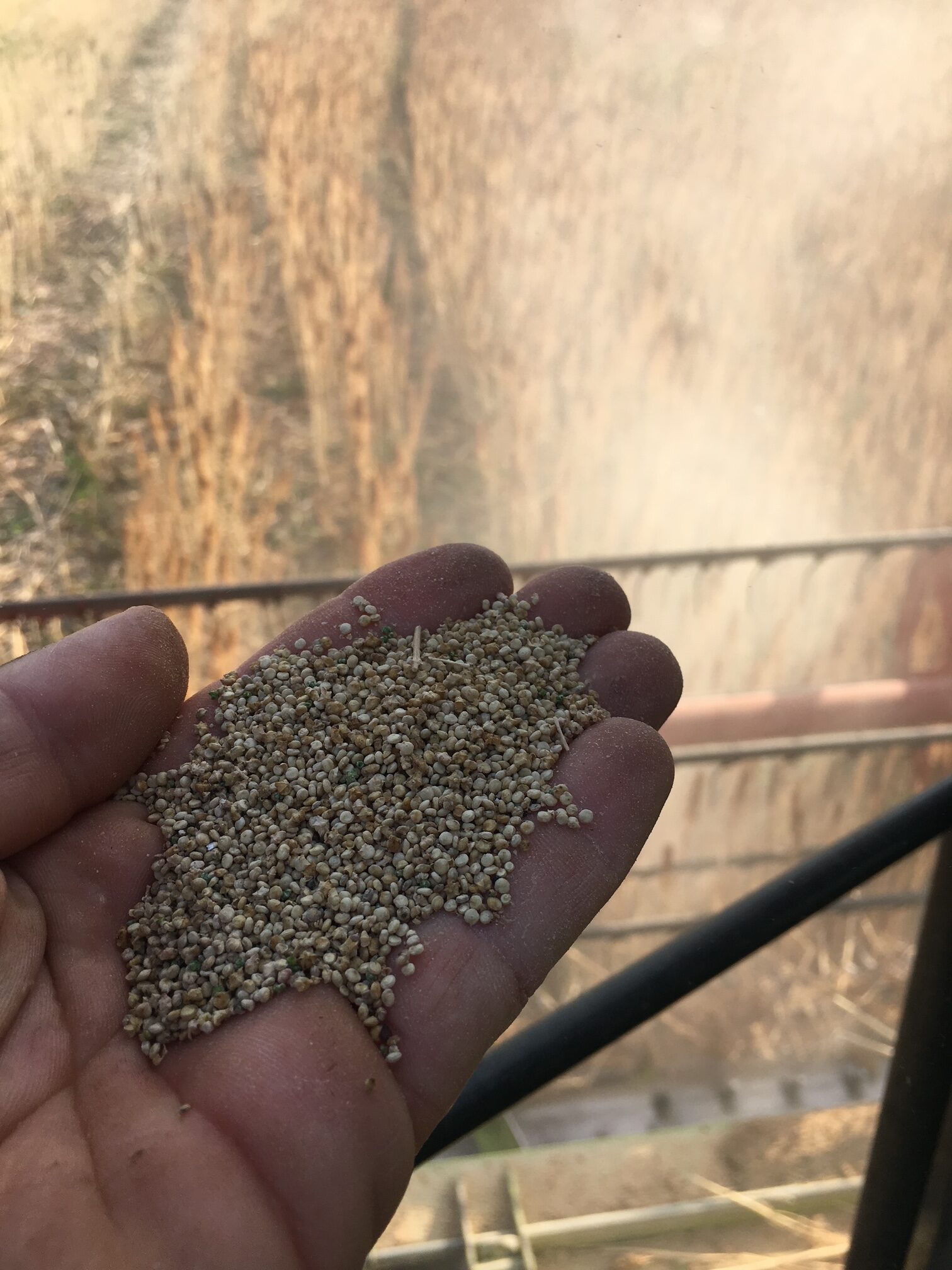 arboriculteur les vergers des rivaux